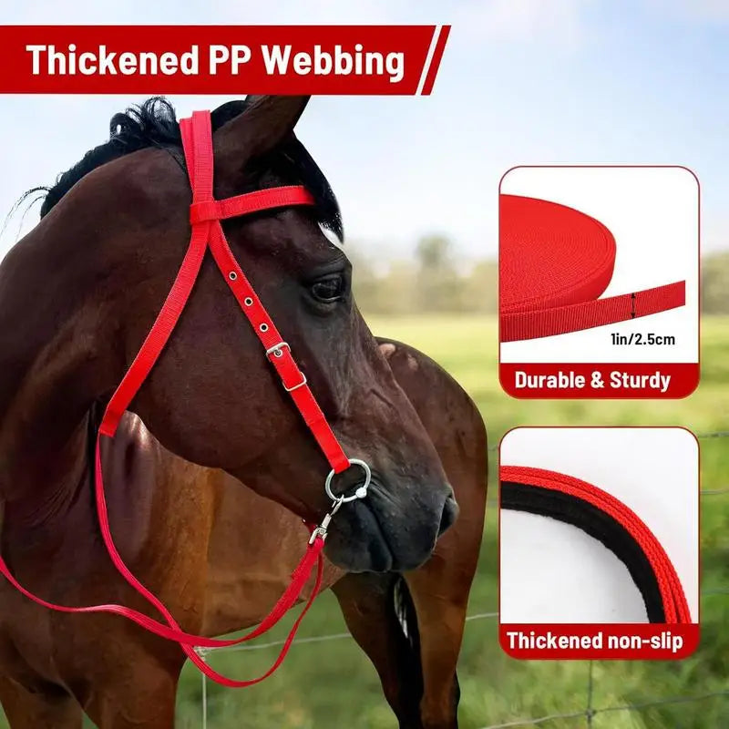 Horse Bridle Nylon Adjustable Snaffle Noseband, Equine Reins for Women Men,  Soft Lined Trail Riding Equestrian Supplies