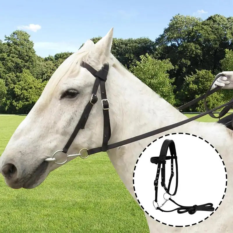 Horse Halter And Lead Rope, Throat Latch For Horse Bridle With 3 Buckles, Horse Headstall Lead Rope, Horse Farm Must-have