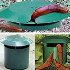 2/4/12pcs Snail Trap, Eco-friendly Pests Bait Station, Reusable Trap, Garden Farm Protector