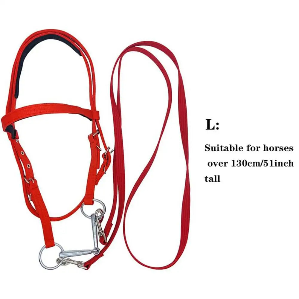 Horse Bridle Nylon Adjustable Snaffle Noseband, Equine Reins for Women Men,  Soft Lined Trail Riding Equestrian Supplies