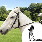 Horse Halter And Lead Rope, Throat Latch For Horse Bridle With 3 Buckles, Horse Headstall Lead Rope, Horse Farm Must-have