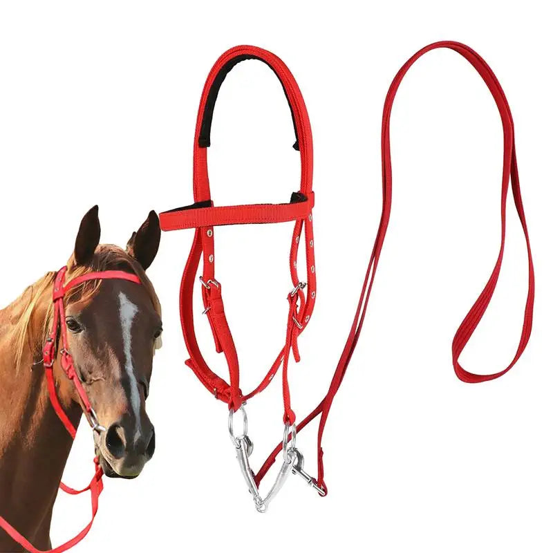 Horse Bridle Nylon Adjustable Snaffle Noseband, Equine Reins for Women Men,  Soft Lined Trail Riding Equestrian Supplies