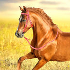 Horse Bridle Nylon Adjustable Snaffle Noseband, Equine Reins for Women Men,  Soft Lined Trail Riding Equestrian Supplies