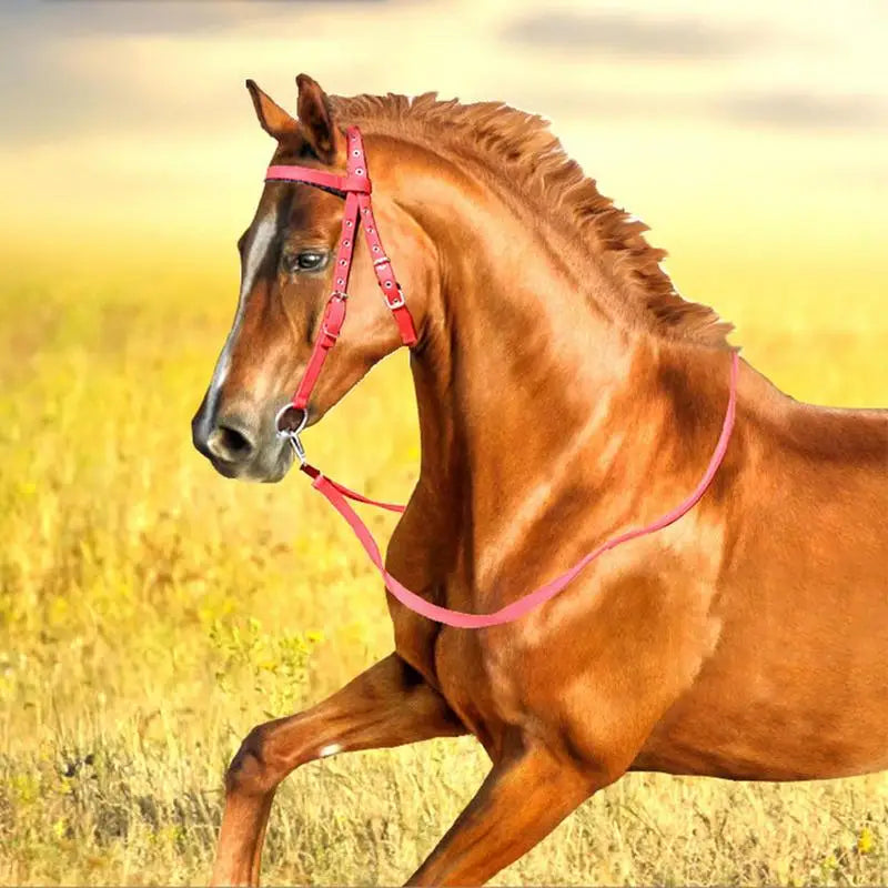 Horse Bridle Nylon Adjustable Snaffle Noseband, Equine Reins for Women Men,  Soft Lined Trail Riding Equestrian Supplies